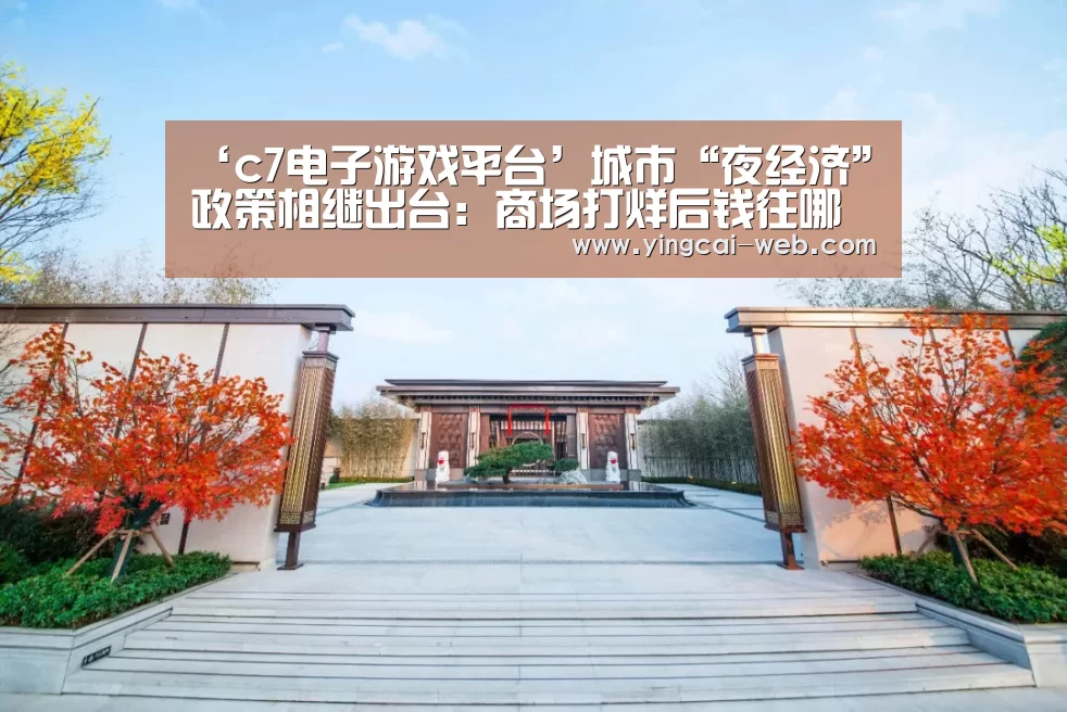 ‘c7电子游戏平台’城市“夜经济”政策相继出台:商场打烊后钱往哪儿花?(图3) c7电子游戏平台